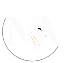 Maestria en atraccion